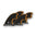 FUTURES Quad Fin Set Tomo Fiberglass Unisize Orange