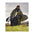 dryrobe advance long-sleeve green camo gray changing robe
