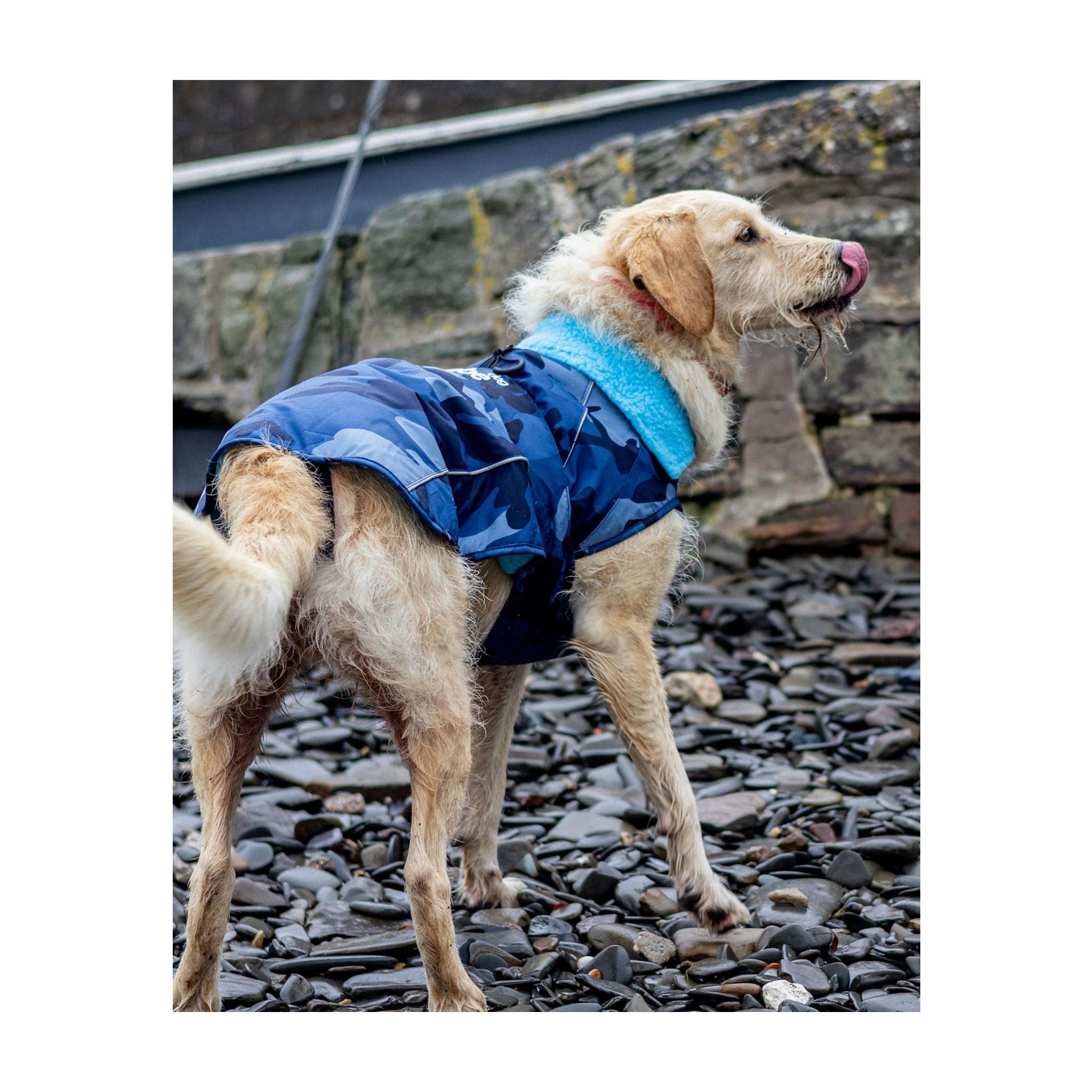 DRYROBE Dog Coat Dog coat