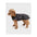 DRYROBE Dog Coat Dog coat