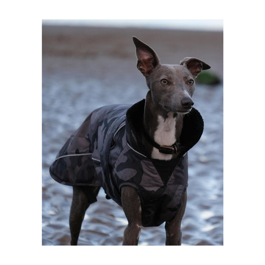 dryrobe dog coat, black camo