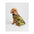 DRYROBE Dog Coat Dog coat