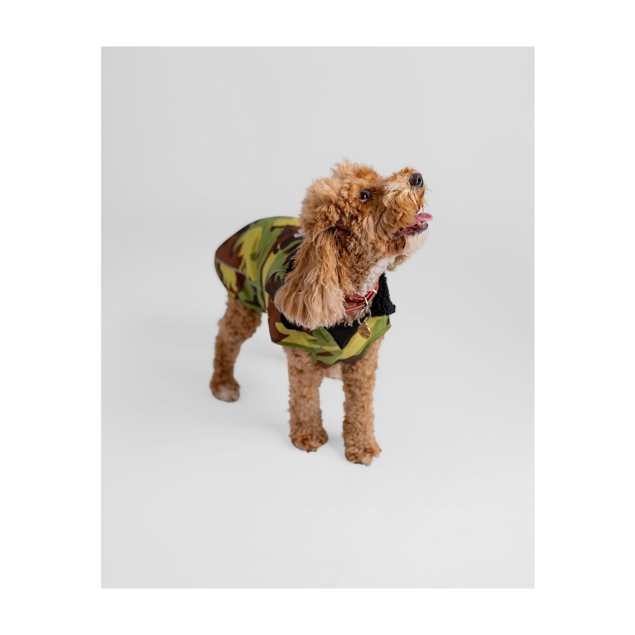 DRYROBE Dog Coat Dog coat