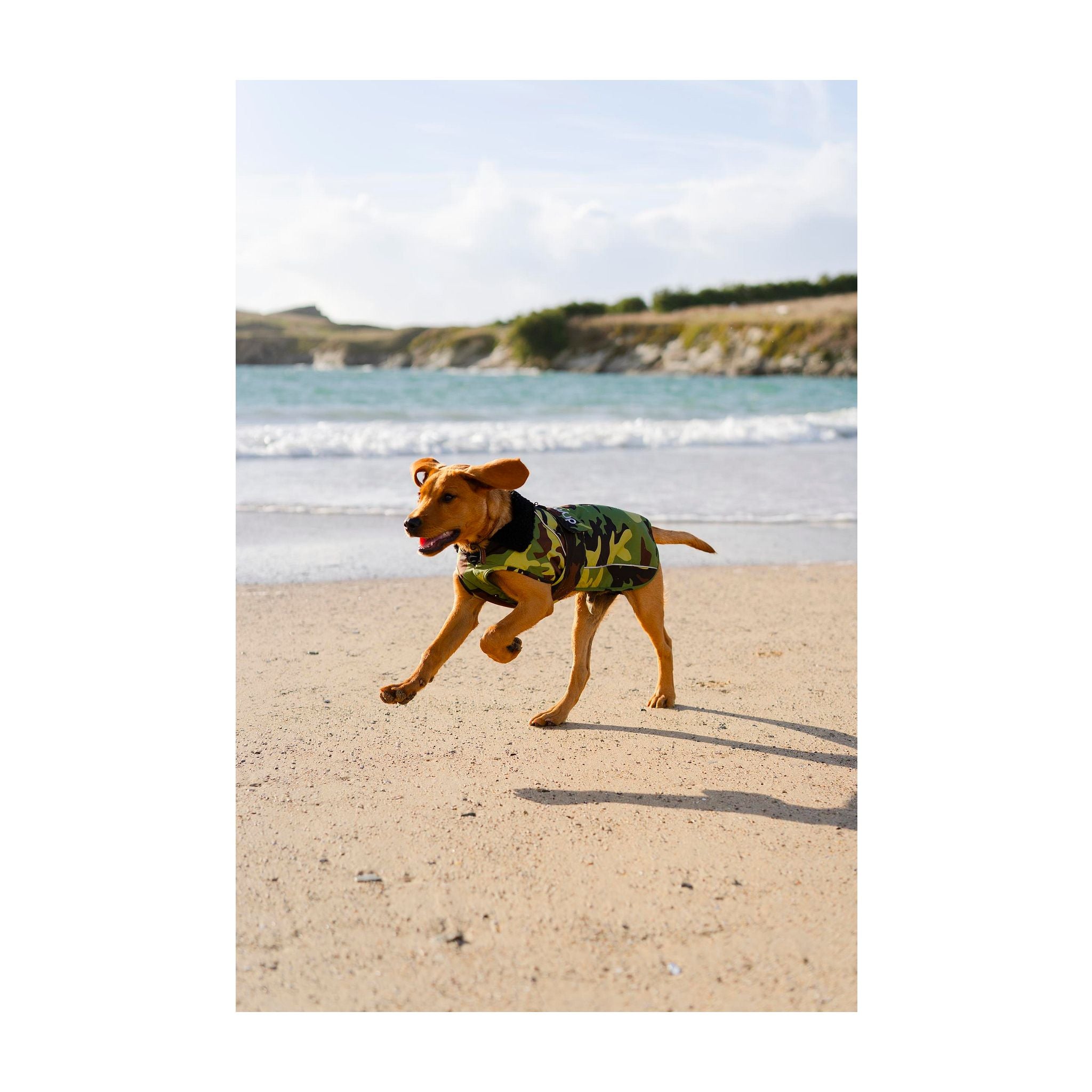 DRYROBE Dog Coat Dog coat