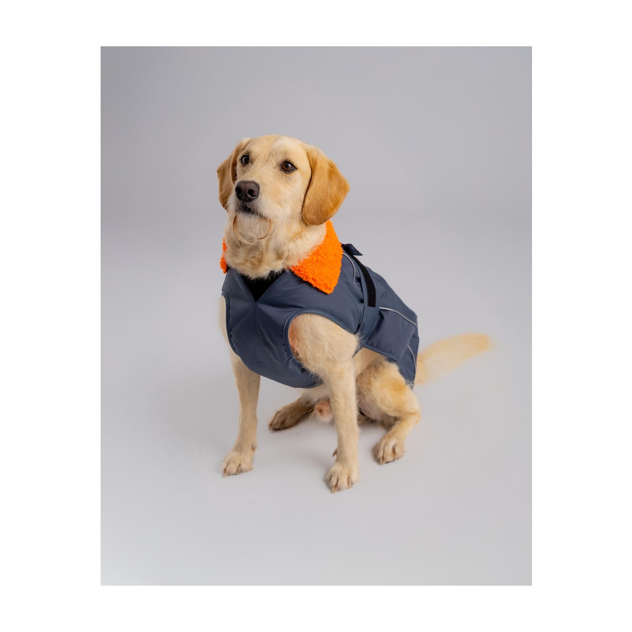 DRYROBE Dog Coat Dog coat