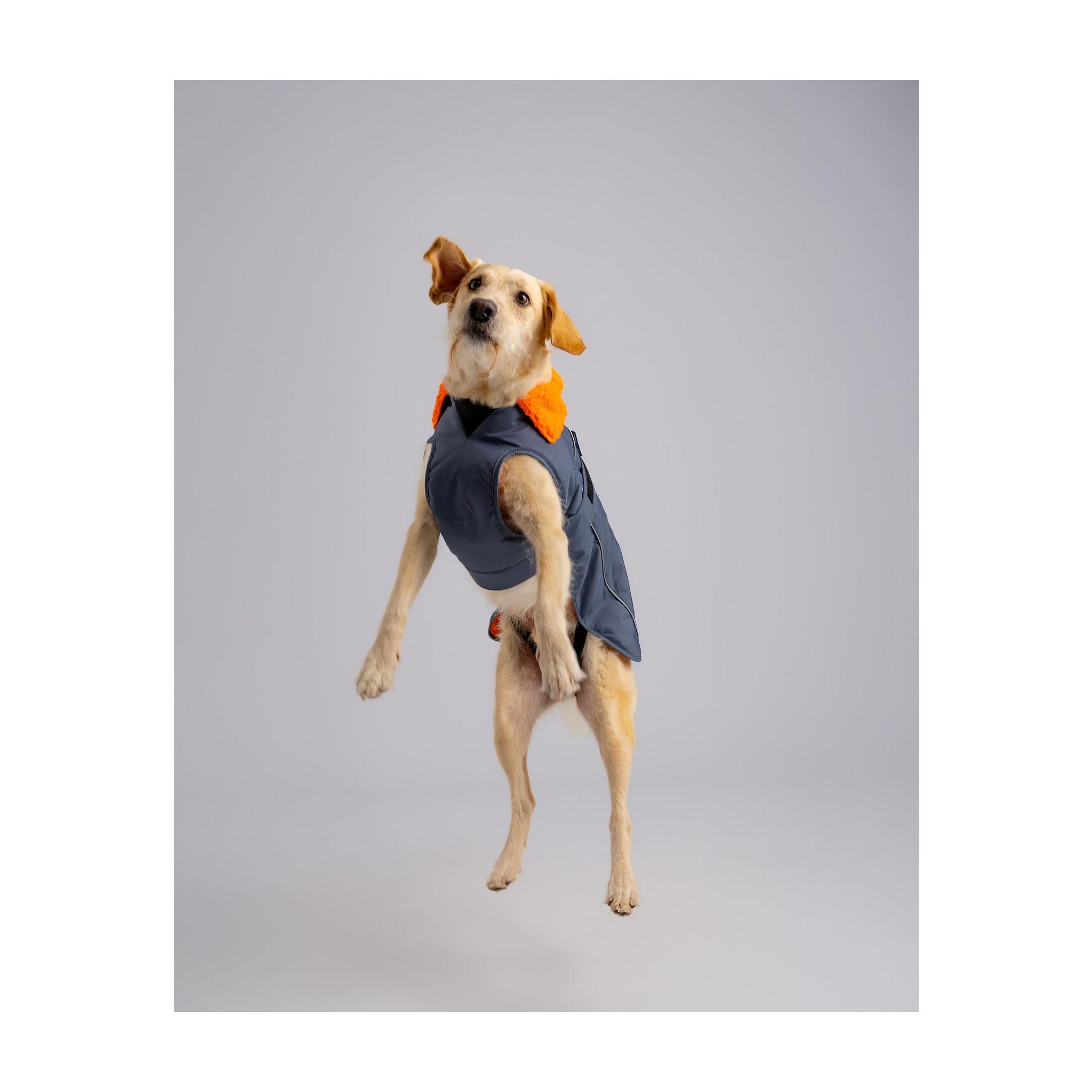 DRYROBE Dog Coat Dog coat