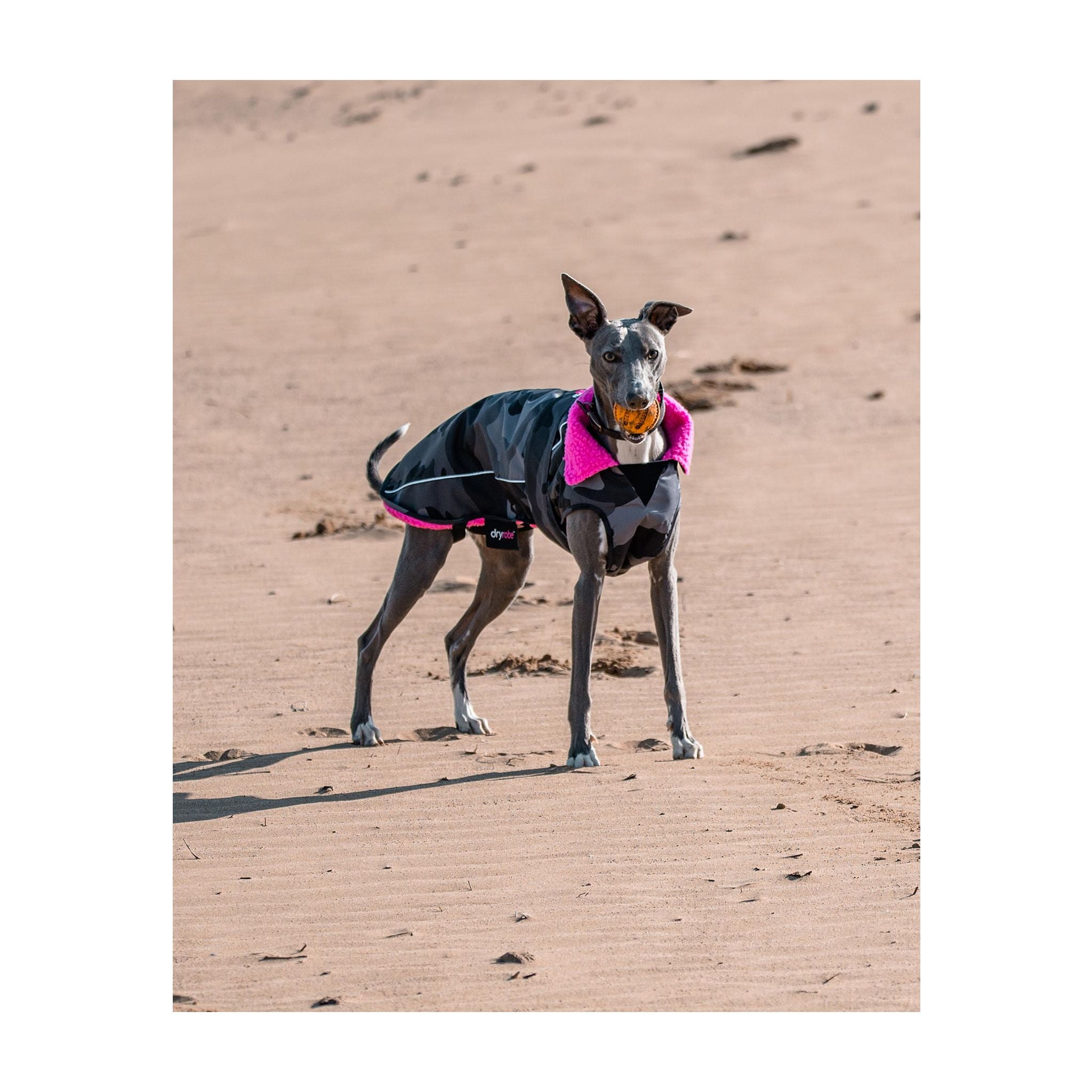 DRYROBE Dog Coat Dog coat