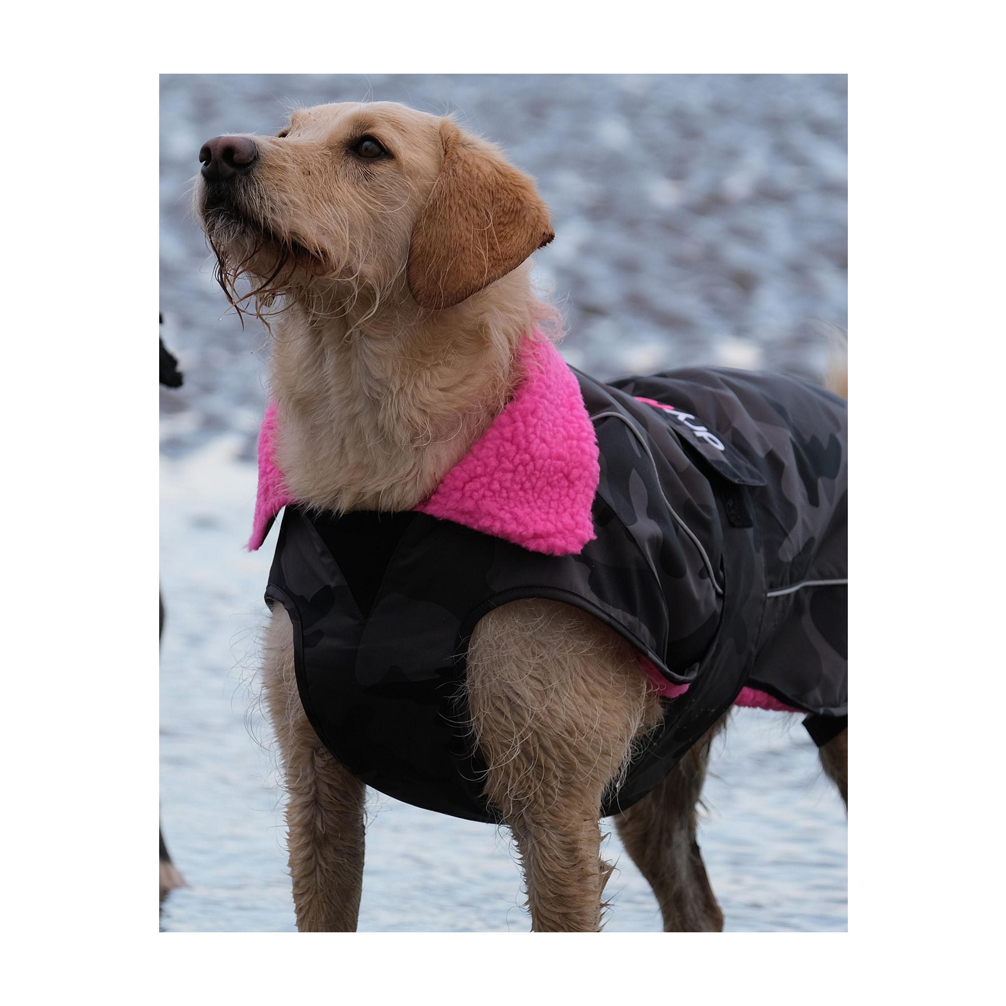 DRYROBE Dog Coat Dog coat