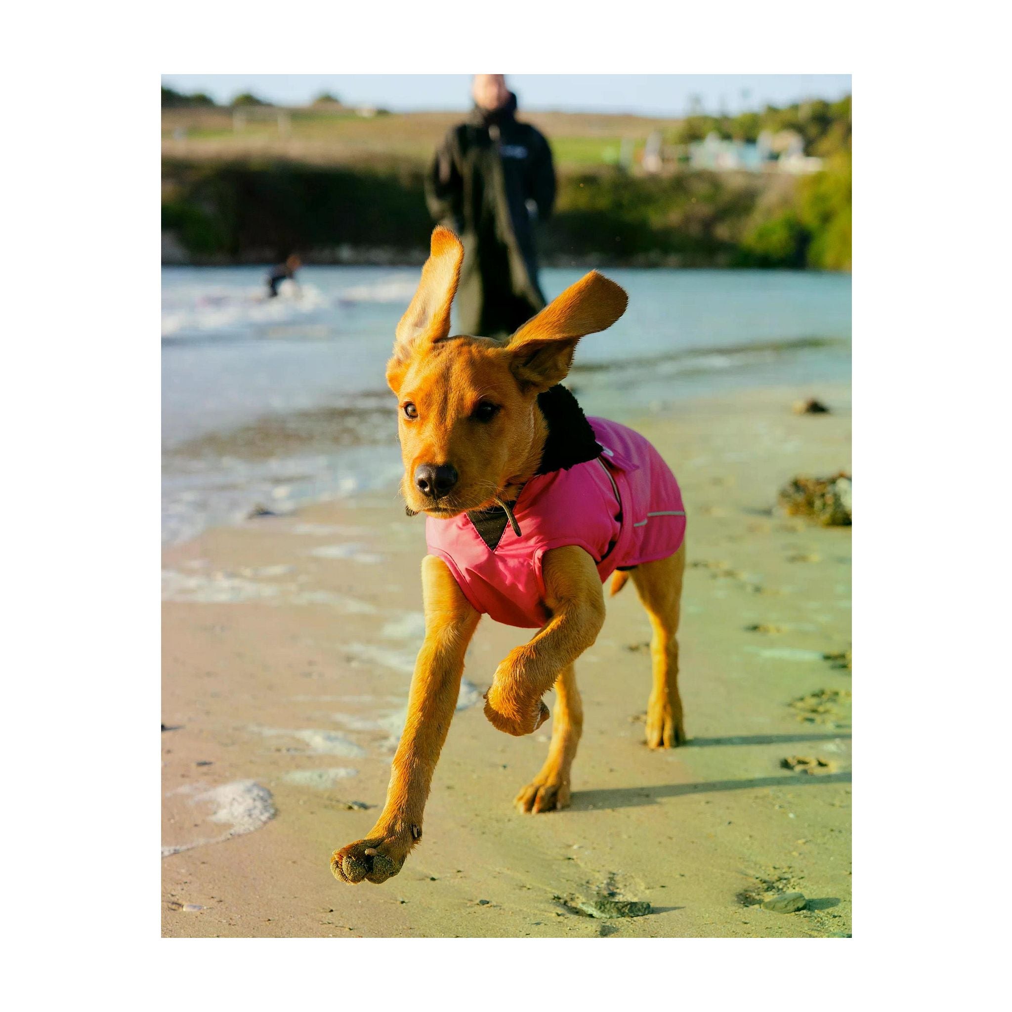 DRYROBE Dog Coat Dog coat