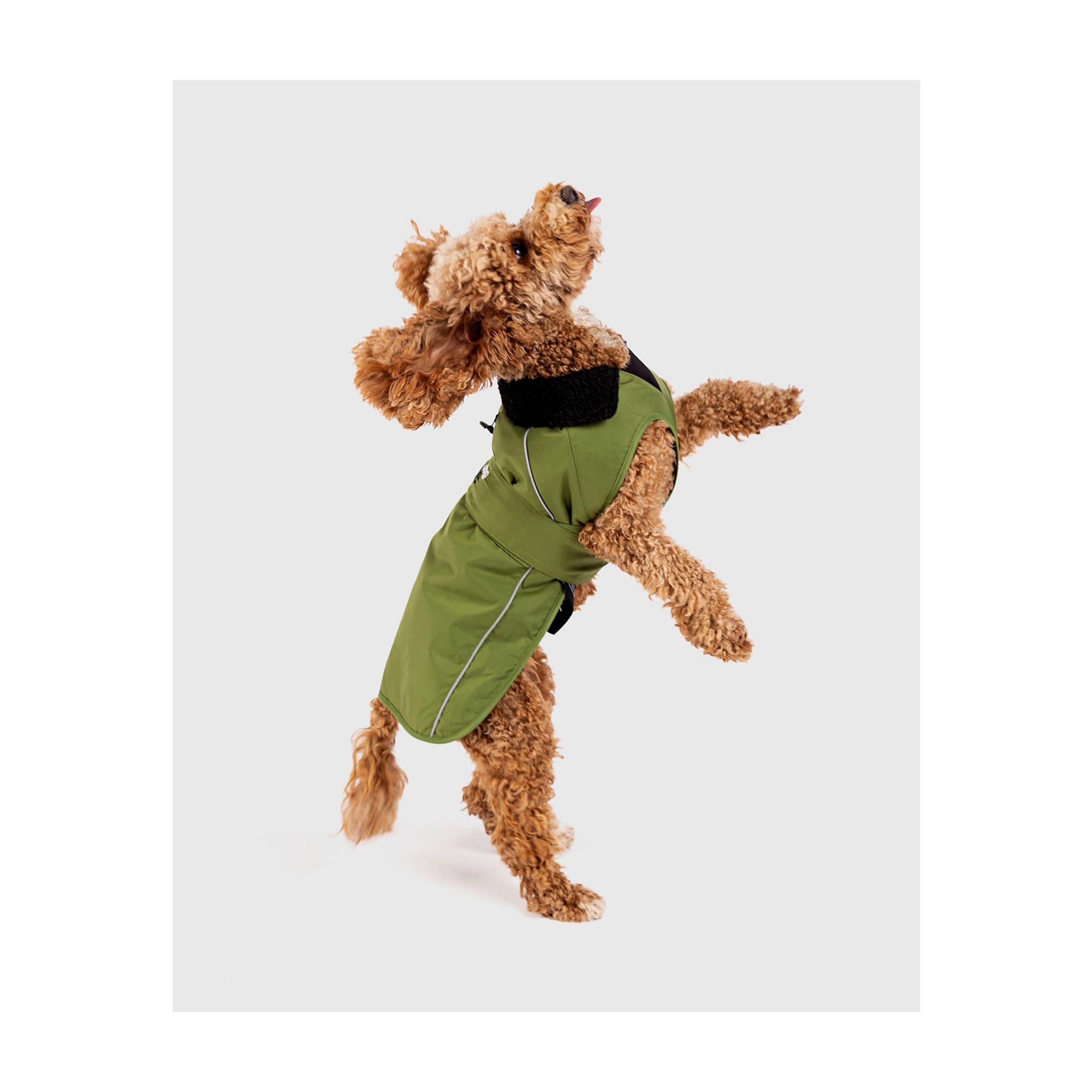 DRYROBE Dog Coat Dog coat