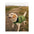 DRYROBE Dog Coat Dog coat Dark Green Black Dogs