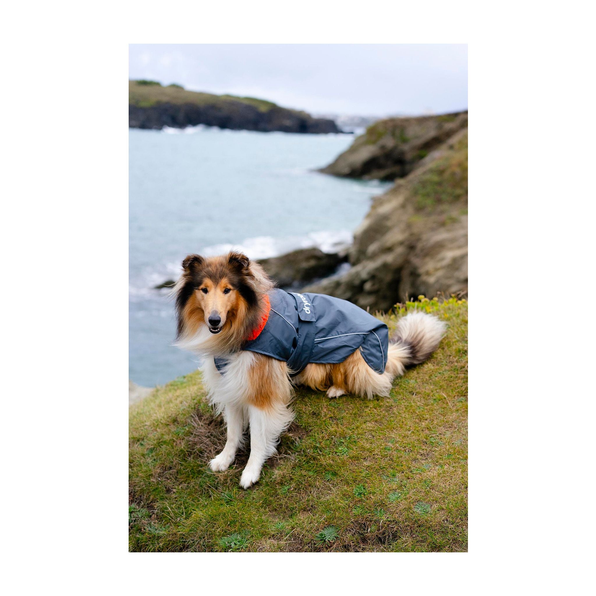 DRYROBE Dog Coat Dog coat Dogs