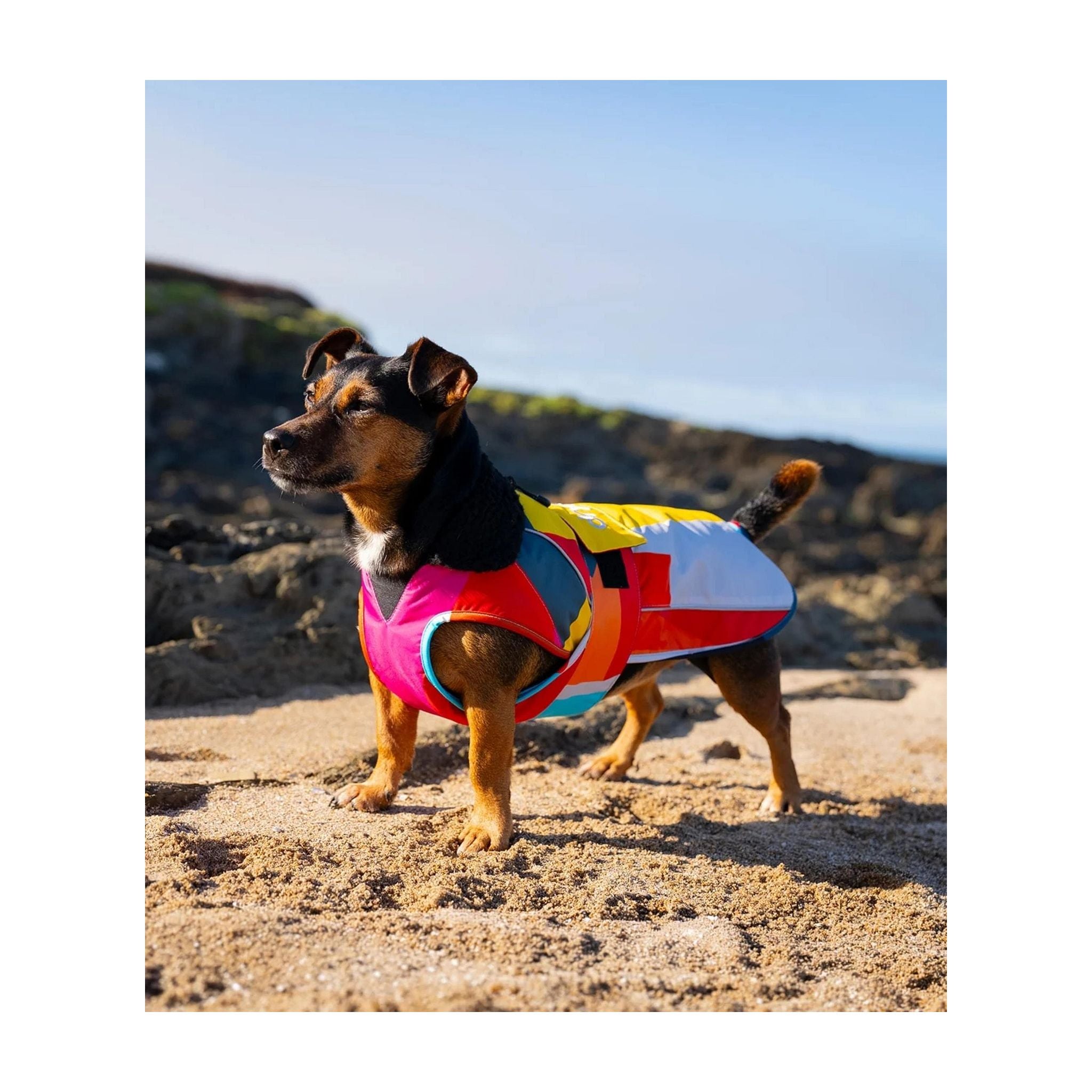 DRYROBE Dog Coat Hundemantel Abstract XXXL Multicolor Dogs