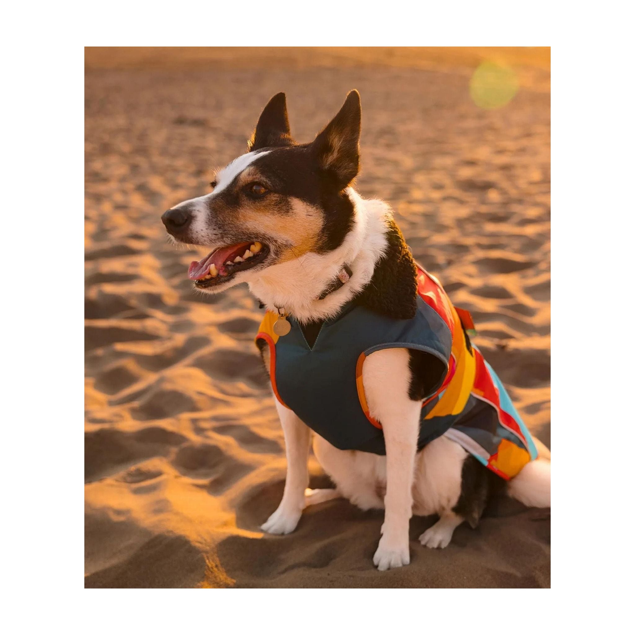 DRYROBE Dog Coat Hundemantel Abstract XXXL Multicolor Dogs