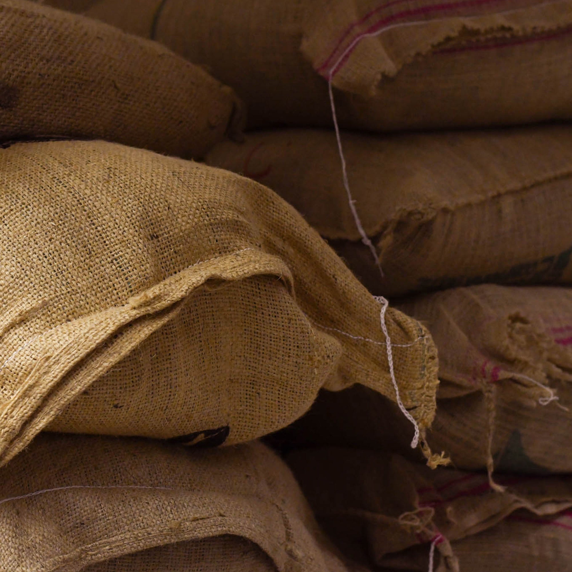 windsurf shop windsurf shop windsurf shop surf shop learn windsurfing Contains-Coffee-Roaster Coffee Coffee