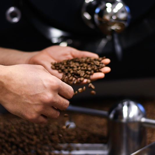 windsurf shop windsurf shop windsurf shop surf shop learn windsurfing Contains Coffee Roasters Windsurf Coffee Coffee