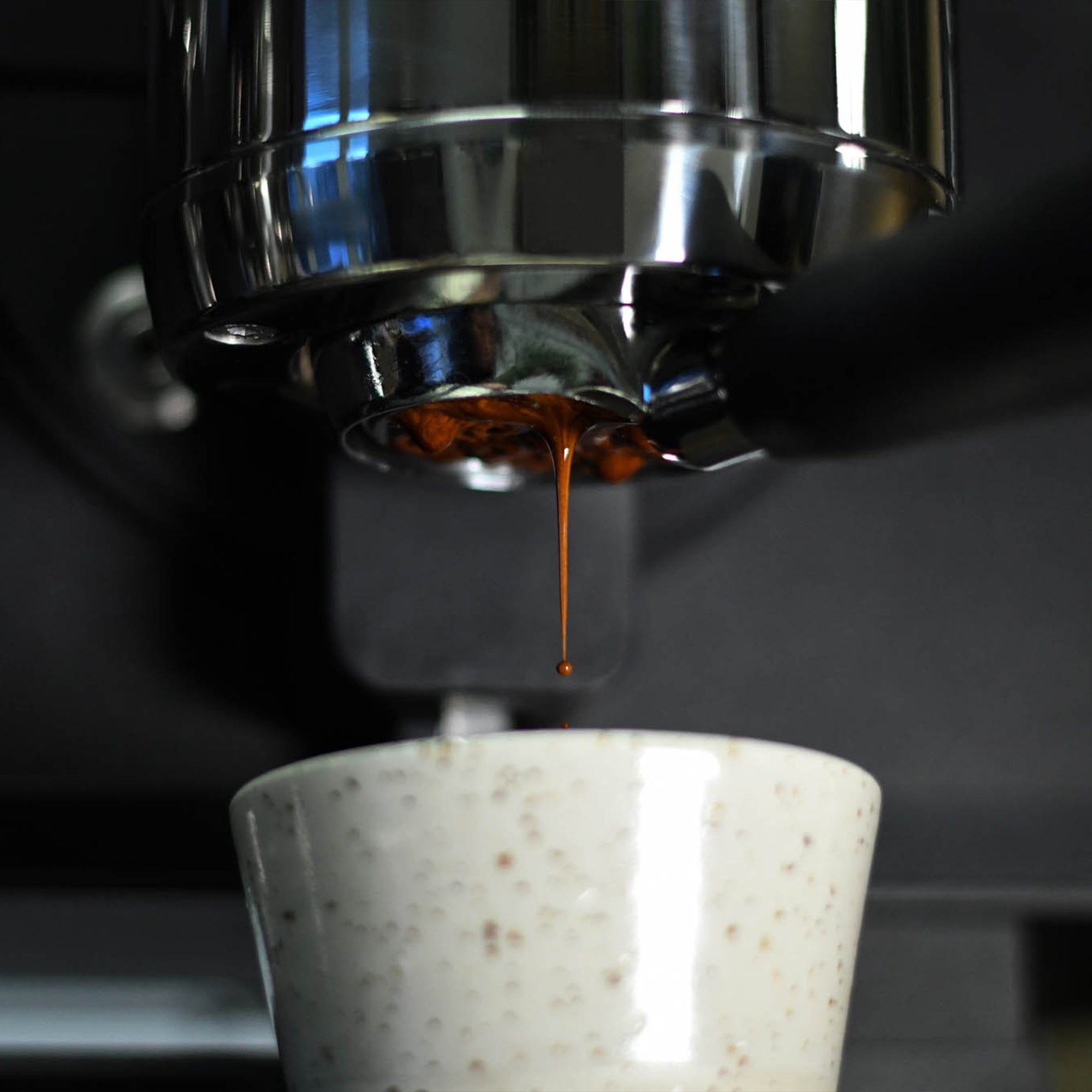 windsurf shop windsurf shop windsurf shop surf shop learn windsurfing Contains-Coffee-Roaster Coffee Coffee